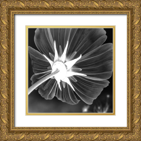 Unbrella Leaf Gold Ornate Wood Framed Art Print with Double Matting by Phillip, Jamie