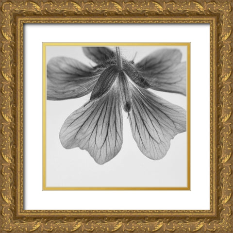 Transparent Gold Ornate Wood Framed Art Print with Double Matting by Phillip, Jamie