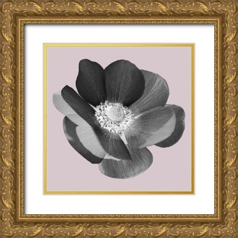 My Heart Gold Ornate Wood Framed Art Print with Double Matting by Phillip, Jamie