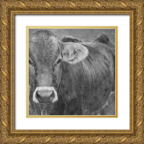 Bull Gold Ornate Wood Framed Art Print with Double Matting by Phillip, Jamie