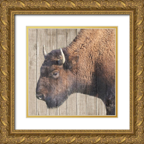 Buffalo Bison Gold Ornate Wood Framed Art Print with Double Matting by Phillip, Jamie