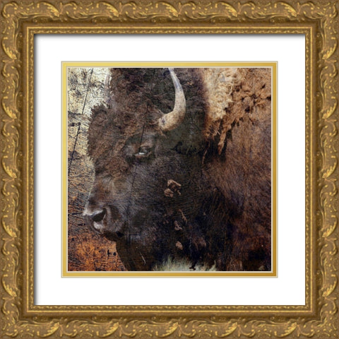 Mr.Buffalo Gold Ornate Wood Framed Art Print with Double Matting by Phillip, Jamie