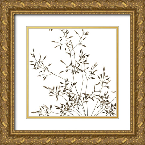 Rose Fillers 2 Gold Ornate Wood Framed Art Print with Double Matting by Phillip, Jamie