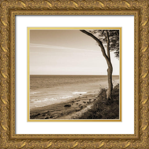 Seascape Gold Ornate Wood Framed Art Print with Double Matting by Phillip, Jamie