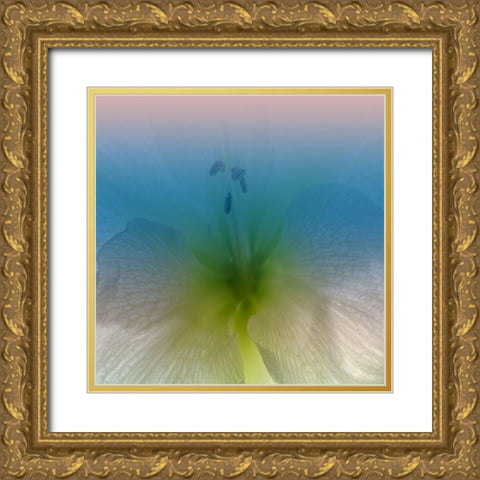 Xray Gold Ornate Wood Framed Art Print with Double Matting by Phillip, Jamie