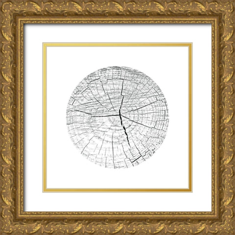 Love Stump 3 Gold Ornate Wood Framed Art Print with Double Matting by Phillip, Jamie