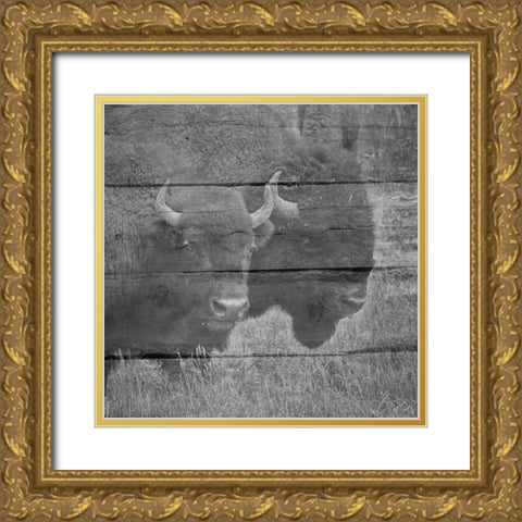 Bison Gold Ornate Wood Framed Art Print with Double Matting by Phillip, Jamie