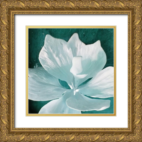 Blue Orchid Gold Ornate Wood Framed Art Print with Double Matting by Phillip, Jamie