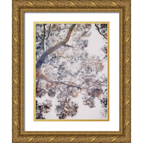 Whispering Jack II Gold Ornate Wood Framed Art Print with Double Matting by Urban Road