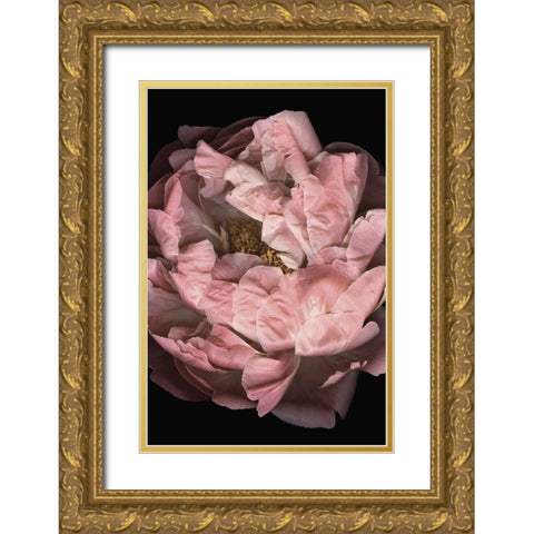 Hopeful I Gold Ornate Wood Framed Art Print with Double Matting by Urban Road