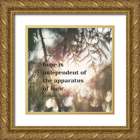 Norman Cousins Quote: Hope is Independent Gold Ornate Wood Framed Art Print with Double Matting by ArtsyQuotes