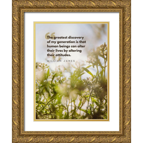 William James Quote: Greatest Discovery Gold Ornate Wood Framed Art Print with Double Matting by ArtsyQuotes
