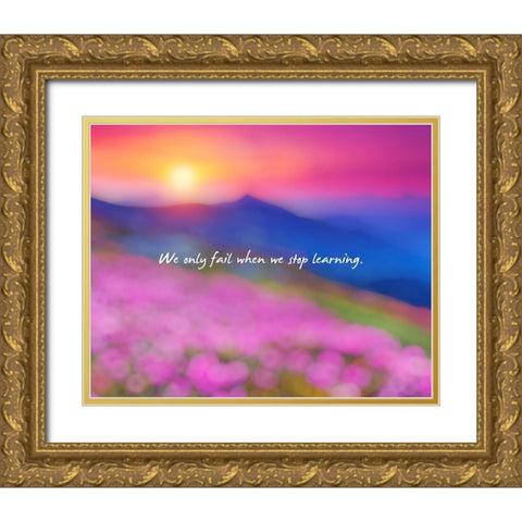 Steve Krivda Quote: When We Stop Gold Ornate Wood Framed Art Print with Double Matting by ArtsyQuotes
