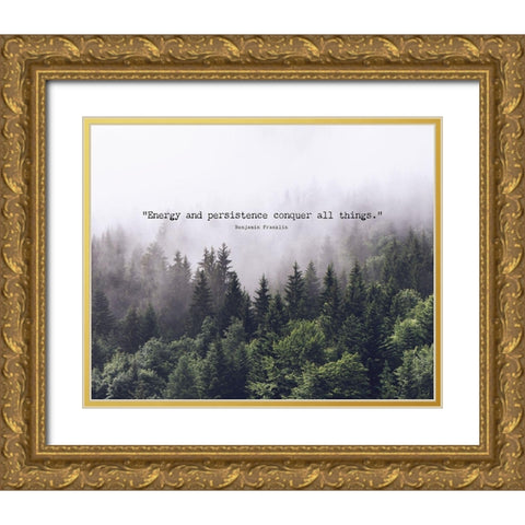 Benjamin Franklin Quote: Energy and Persistence Gold Ornate Wood Framed Art Print with Double Matting by ArtsyQuotes