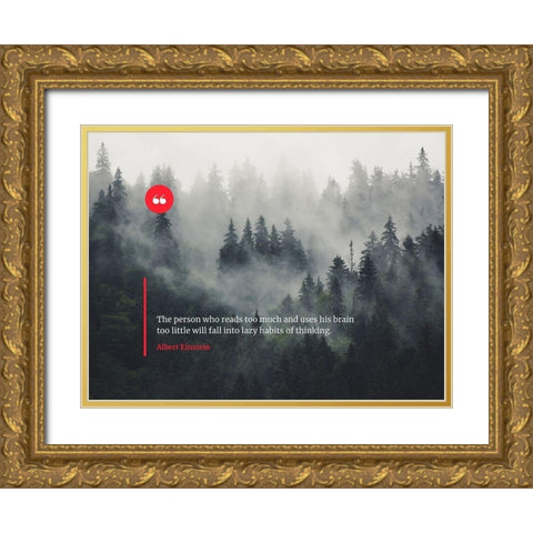Albert Einstein Quote: Lazy Habits Gold Ornate Wood Framed Art Print with Double Matting by ArtsyQuotes