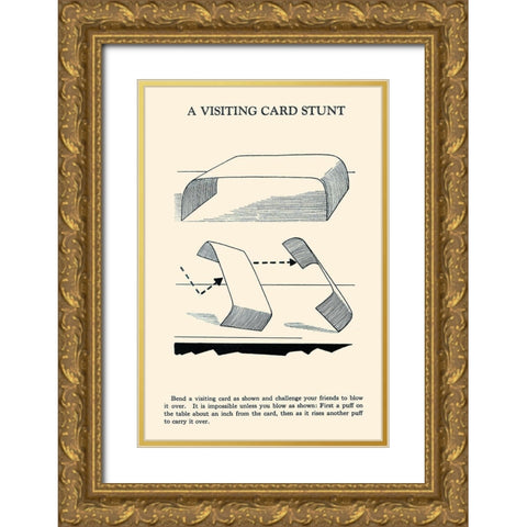 A Visiting Card Stunt Gold Ornate Wood Framed Art Print with Double Matting by Retromagic
