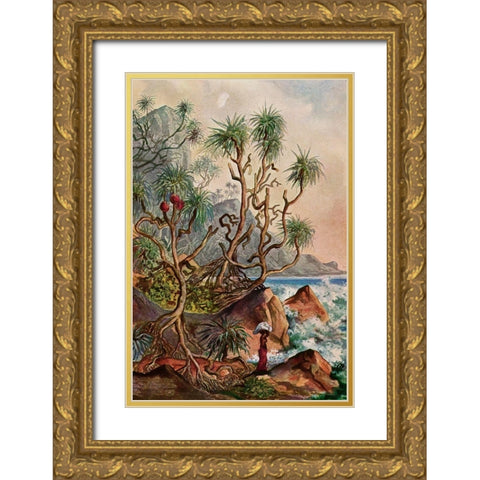 Pandanus bei Matura Schraubenpalmen an der Sudkuste von Ceylon Gold Ornate Wood Framed Art Print with Double Matting by Haeckel, Ernst
