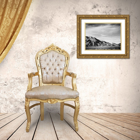 View of mountains near Death Valley, California - National Parks and Monuments, 1941 Gold Ornate Wood Framed Art Print with Double Matting by Adams, Ansel