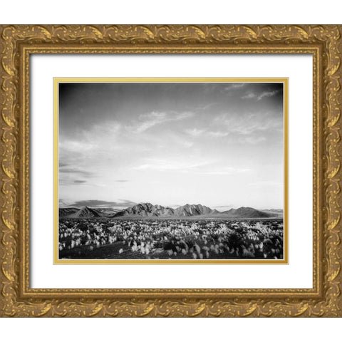 Distant mountains: desert and shrubs in foreground near Death Valley National Monument, California - Gold Ornate Wood Framed Art Print with Double Matting by Adams, Ansel