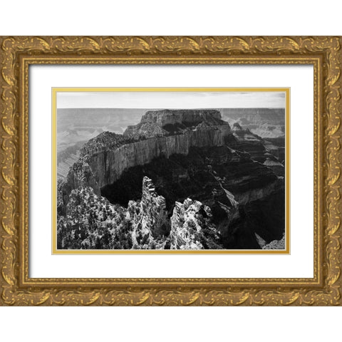 Close-in view of curred cliff, Grand Canyon National Park, Arizona, 1941 Gold Ornate Wood Framed Art Print with Double Matting by Adams, Ansel