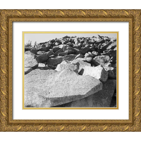 Moraine, Rocky Mountain National Park, Colorado, ca. 1941-1942 Gold Ornate Wood Framed Art Print with Double Matting by Adams, Ansel