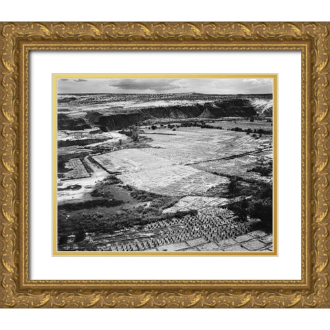 Corn Field, Indian Farm near Tuba City, Arizona, in Rain, 1941 Gold Ornate Wood Framed Art Print with Double Matting by Adams, Ansel