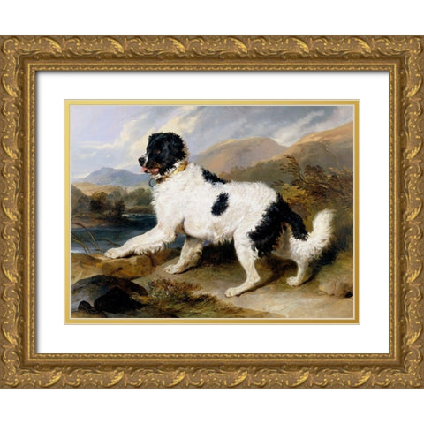 A Newfoundland Dog Gold Ornate Wood Framed Art Print with Double Matting by Landseer, Sir Edwin Henry