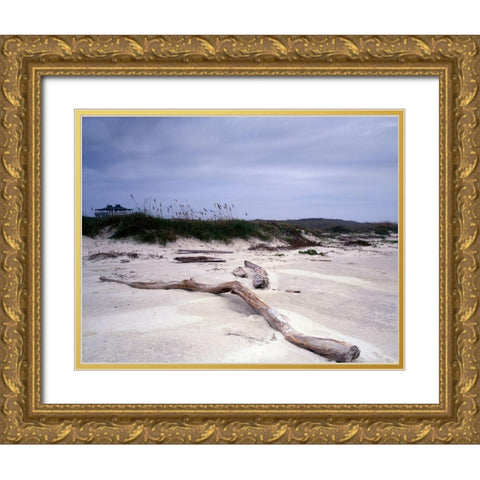 Driftwood on beach at Padre Island, TX Gold Ornate Wood Framed Art Print with Double Matting by Highmith, Carol