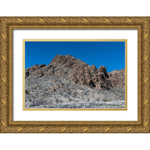 Scenery in Big Bend National Park, TX Gold Ornate Wood Framed Art Print with Double Matting by Highmith, Carol