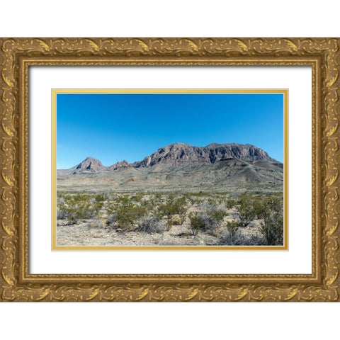 Scenery in Big Bend National Park, TX Gold Ornate Wood Framed Art Print with Double Matting by Highmith, Carol