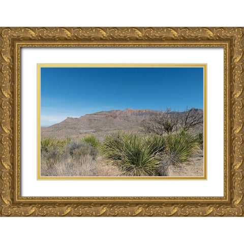 Scenery in Big Bend National Park, TX Gold Ornate Wood Framed Art Print with Double Matting by Highmith, Carol
