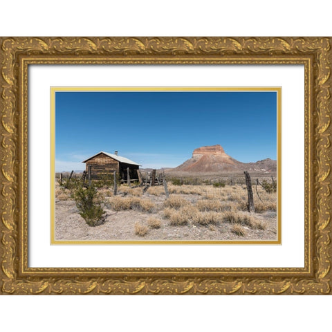 Scenery in Big Bend National Park, TX Gold Ornate Wood Framed Art Print with Double Matting by Highmith, Carol