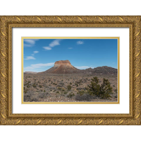 Scenery in Big Bend National Park, TX Gold Ornate Wood Framed Art Print with Double Matting by Highmith, Carol