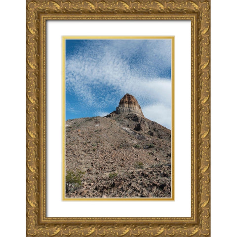 Scenery in Big Bend National Park, TX Gold Ornate Wood Framed Art Print with Double Matting by Highmith, Carol
