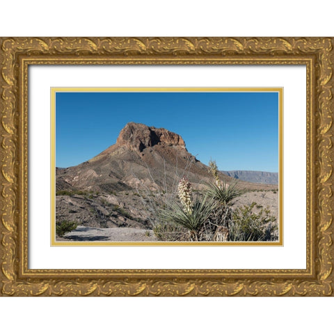 Scene from Big Bend National Park in Brewster County, TX Gold Ornate Wood Framed Art Print with Double Matting by Highmith, Carol