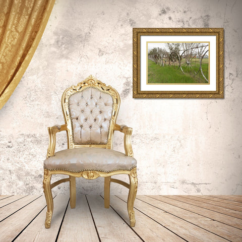A fence made of wagon wheels near Schulenburg in Fayette County, TX Gold Ornate Wood Framed Art Print with Double Matting by Highmith, Carol