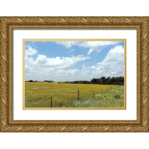 A field of wildflowers near Chappel Hill in Austin County, TX, 2014 Gold Ornate Wood Framed Art Print with Double Matting by Highmith, Carol