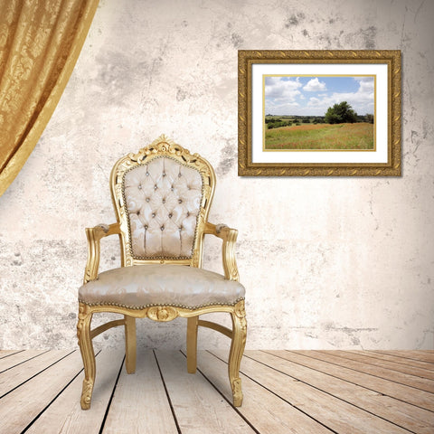 A field of wildflowers near Chappel Hill in Austin County, TX, 2014 Gold Ornate Wood Framed Art Print with Double Matting by Highmith, Carol