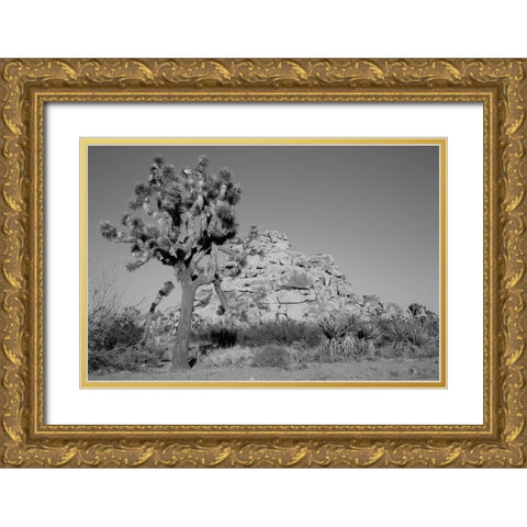 Joshua Tree National Park California Gold Ornate Wood Framed Art Print with Double Matting by Highsmith, Carol