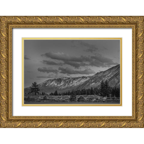 Mammoth Lakes California Gold Ornate Wood Framed Art Print with Double Matting by Highsmith, Carol