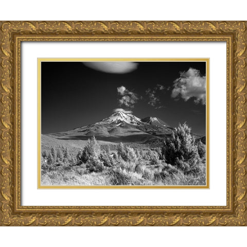 Mount Shasta in the Cascade Range Siskiyou County California Gold Ornate Wood Framed Art Print with Double Matting by Highsmith, Carol