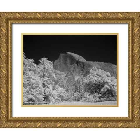 Half Dome in Yosemite National Park California Gold Ornate Wood Framed Art Print with Double Matting by Highsmith, Carol