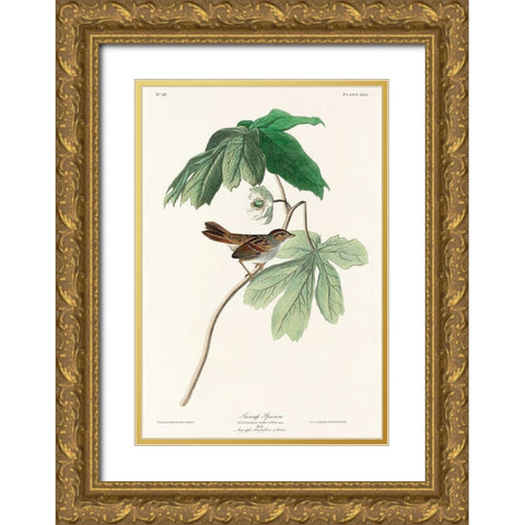 Swamp Sparrow Gold Ornate Wood Framed Art Print with Double Matting by Audubon, John James