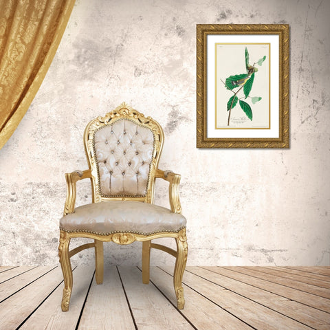 Black and Yellow Warbler Gold Ornate Wood Framed Art Print with Double Matting by Audubon, John James