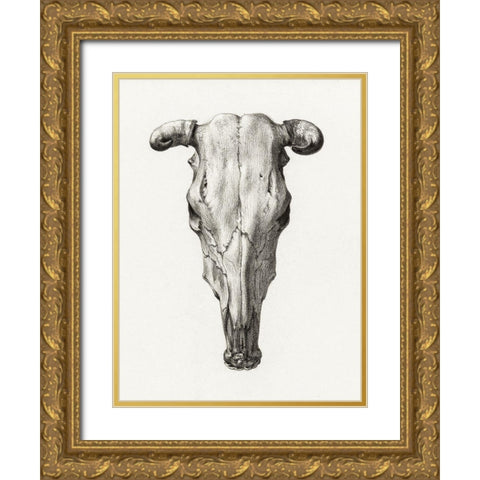 Skull of a cow Gold Ornate Wood Framed Art Print with Double Matting by Bernard, Jean