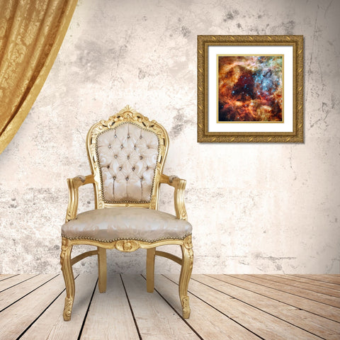 Hubbles view of a grand star forming region Gold Ornate Wood Framed Art Print with Double Matting by NASA