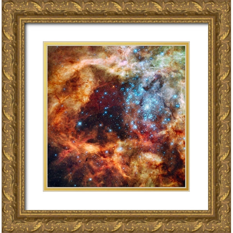 Hubbles view of a grand star forming region Gold Ornate Wood Framed Art Print with Double Matting by NASA