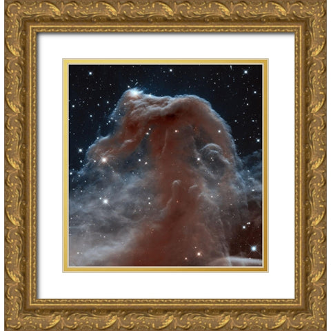 Horsehead of a Different Color Gold Ornate Wood Framed Art Print with Double Matting by NASA