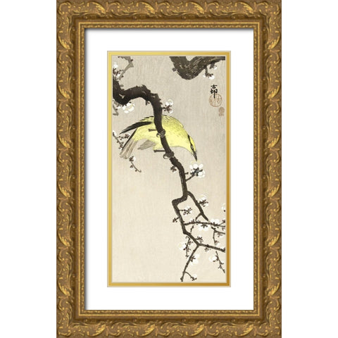 Chinese oriole on plum blossom branch Gold Ornate Wood Framed Art Print with Double Matting by Koson, Ohara