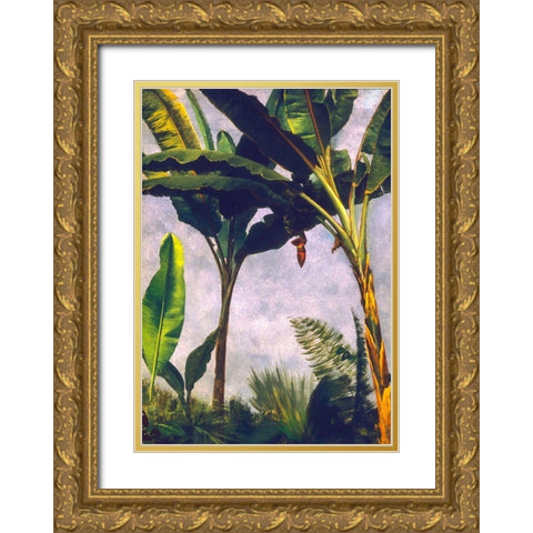 Banana Trees Gold Ornate Wood Framed Art Print with Double Matting by Bierstadt, Albert